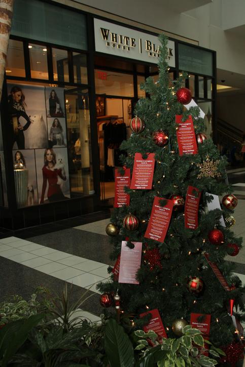 The Salvation Army lists out items that can be donated at this Angel Tree, located inside Arden Fair Mall. They have three separate categories for ages 3 to 16. (Photo by Stephanie Lee)