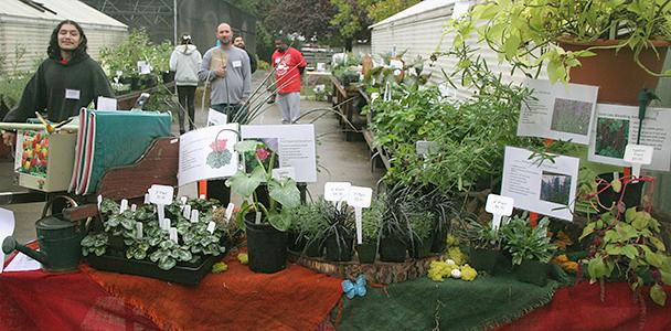 Horticulture department hosts plant sale