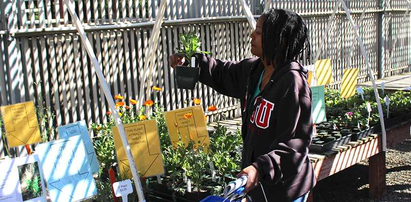 Nicole Gruggs an Intrum Administrative assistant examines a plant during a plant sale hosted by the horticulture department.