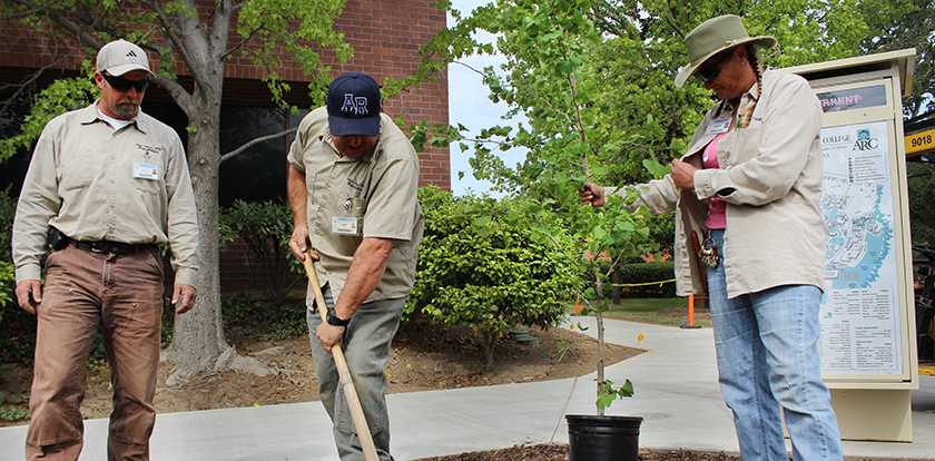 Arbor+Day+comes+to+American+River+College+with+tree+planting+ceremony