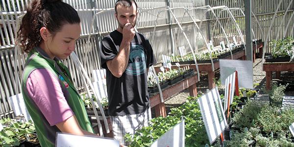 Success of horticulture department’s plant sale continues