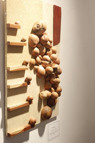 "Zen River" by Alexander Clay harper is an art pieces that utilizes oak galls. Harper said that his art work was mostly inspired by nature.  (Photo by Joseph Daniels)