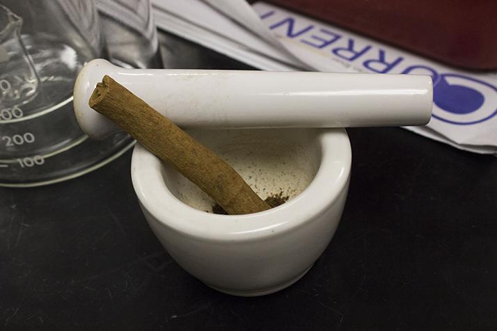 A whole cinnamon stick sits ready to be ground up for distillation. Students extracted the essential oil, cinnamaldehyde, from the sticks in their organic chemistry lab. (Photo by Timothy Lipuma)