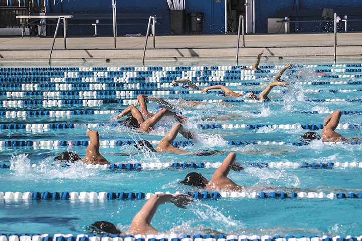 The American River College swim and dive team practice on Feb. 27 in preparation for their March 9 Cuesta Tri Meet. (Photo by Luis Gael Jimenez)