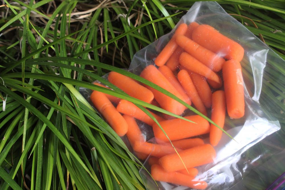 Eating healthy doesnt have to be expensive. Carrots are an easy snack that are cheap and low-calorie. (Photo by T.J Martinez)