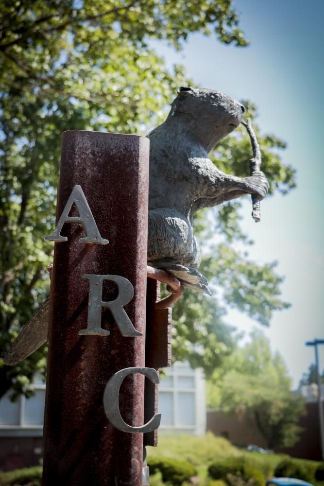 A statue of Bucky the Beaver sits at American River College in Sacramento, California on Sept.13, 2017. Bucky the Beaver is the schools mascot. (Photo by Ashley Hayes-Stone) 