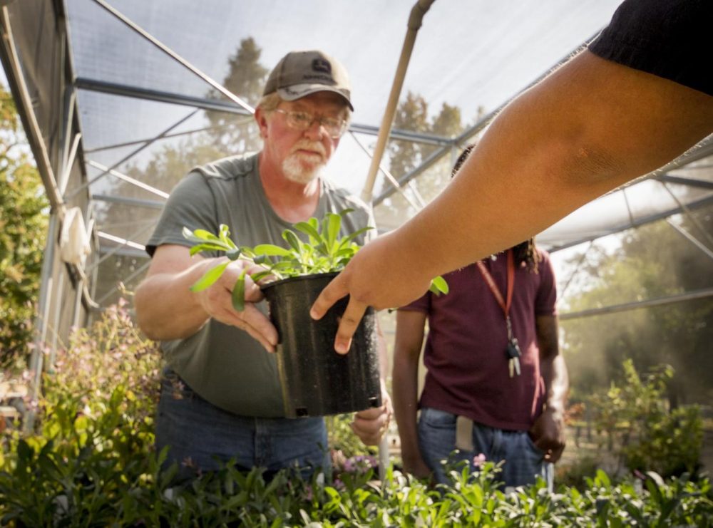 Brad Mohening is handed a plant at in the Horticulture Department at American River College on Oct. 10, 2017.