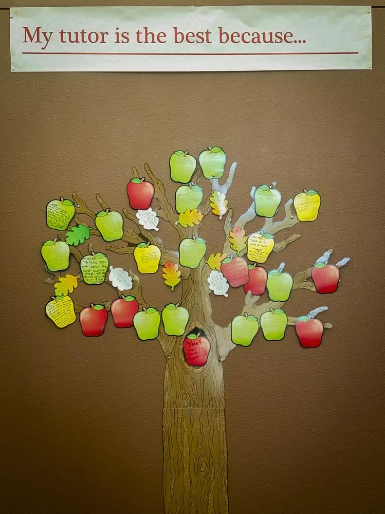 A paper apple tree hangs on a wall at the Learning Resource Center at American River College on Oct. 3, 2017.  It is tutor appreciation week and students are welcome to display their gratitude for their tutors. (Photo by Ashley Hayes-Stone)