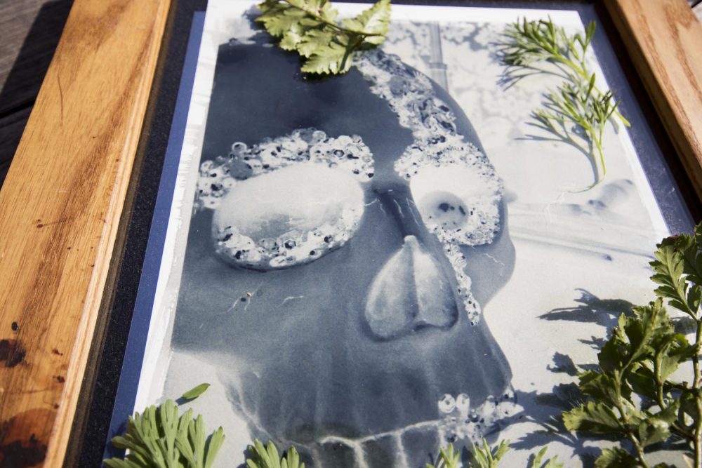 The alternative progress photography class, ARTPH 320, lays out their cyanotype digital negatives out in the sun at American River College on Feb. 4 in Sacramento, California. (Photo by Ashley Hayes-Stone)