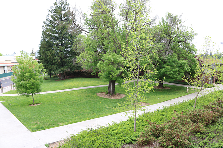 An overhead view of the walk way next to the portables at American River College on April 10 2018. (Photo by Michael Pacheco)