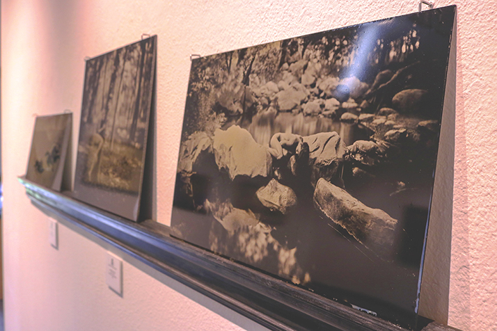 “Emilie in the Streambed” by Luther Gerlach sits on display in the james Kaneko Gallery on April 5. (Photo by Jennah Booth)