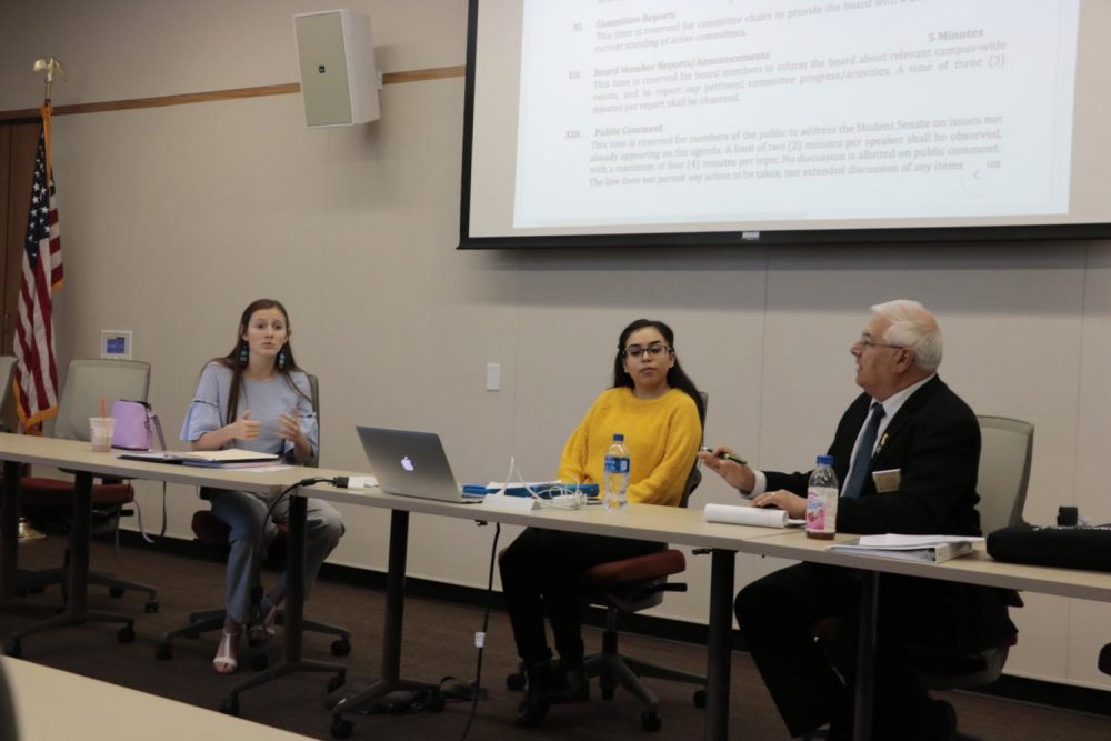Associated Student Body Vice President Elena DeNecochea shares ideas regarding the advocacy campaign to the board members at American River College on Oct. 5, 2018. (Photo by Hameed Zargry)