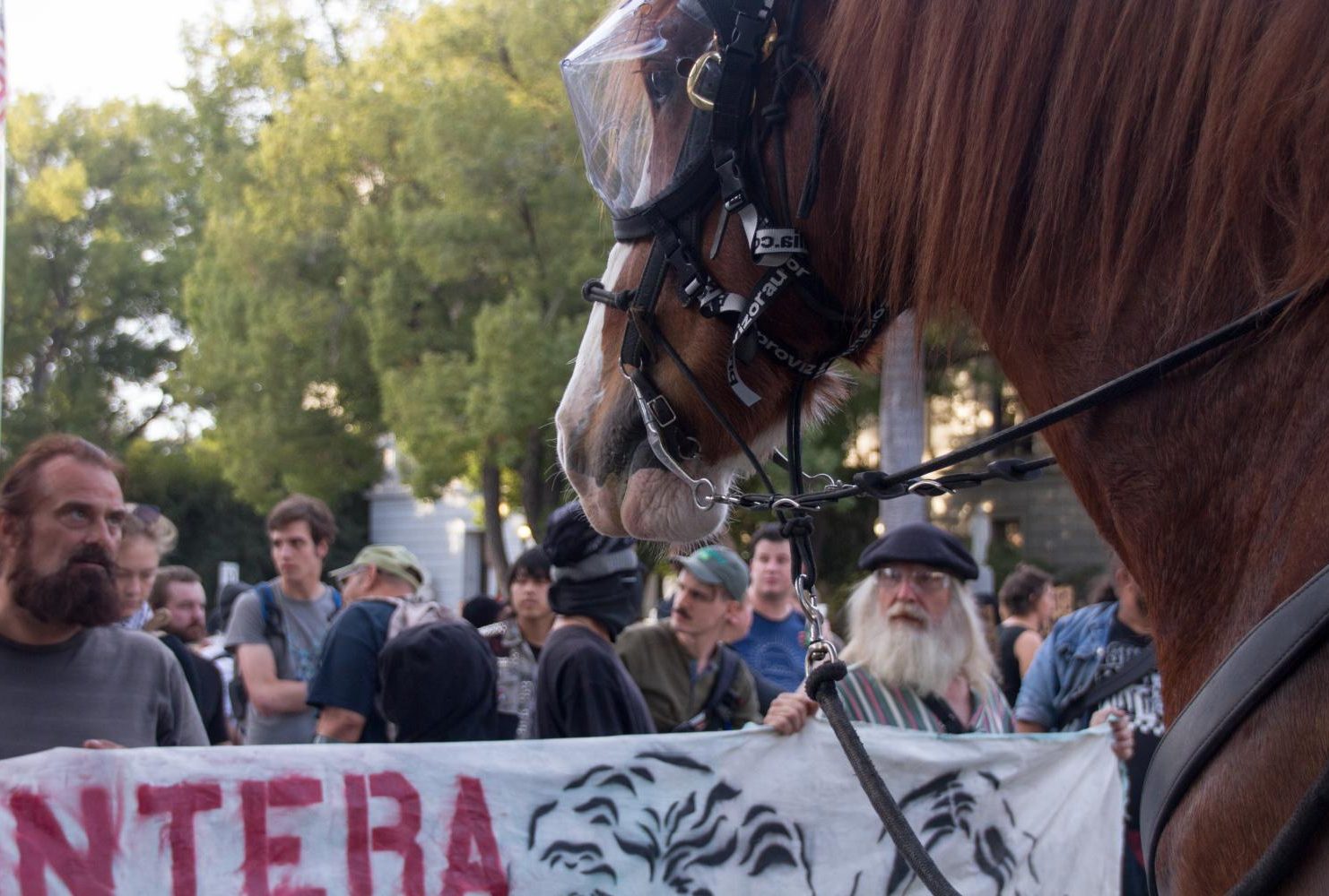 During a “Turn California Red” conservative rally at the Sacramento Capital, mounted police horses wear eye protection while pushing back counter-protestors on Nov. 4, 2018. (Photo by Patrick Hyun Wilson)
