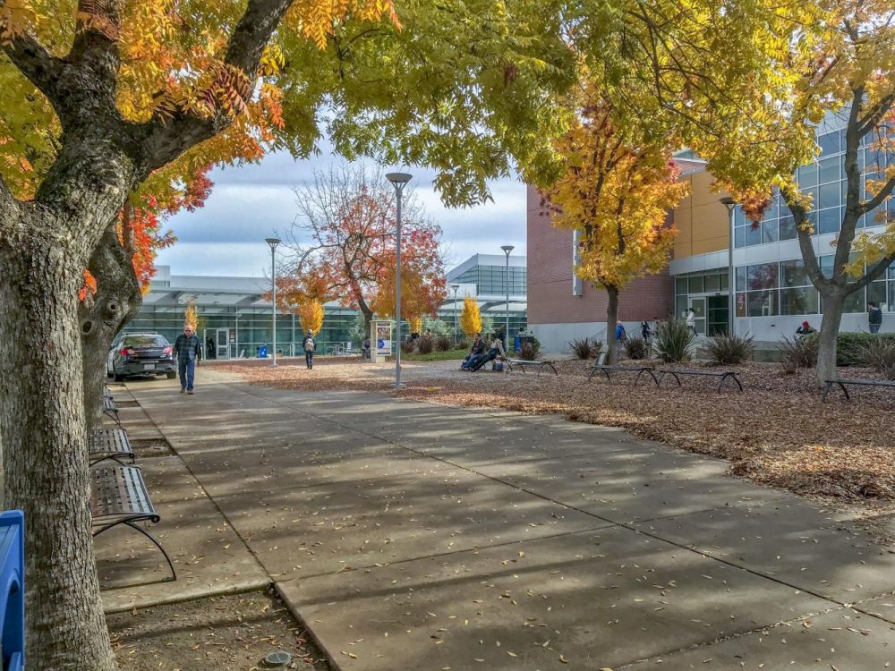 The trees change color for fall and cast shade over the Rose Marks Quad at American River College on Nov. 26, 2018. (Photo by Tracy Holmes)