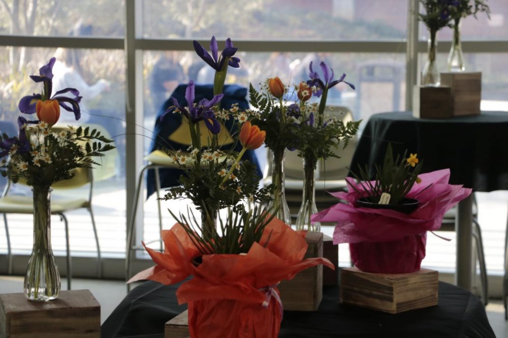 The American River College Horticulture department put on a floral sale outside the dining room in the Student Center. Flowers ranged from tulips, daisies, irises and daffodils. All proceeds support the ARC Horticulture program. (Photo by Gabe Carlos)
