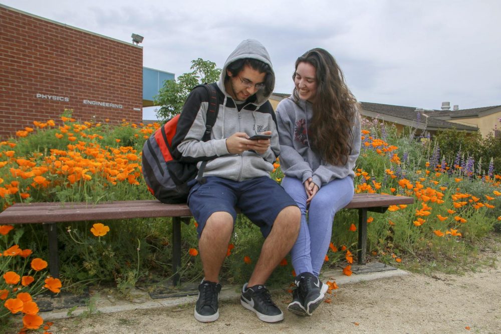 Biology majors Ehsan Noori and Jessica Beall sit in the memorial grove that’s surrounded by California poppies and other native flowers at American River College on April 1, 2019. (Photo by Irene Jacobs) 
