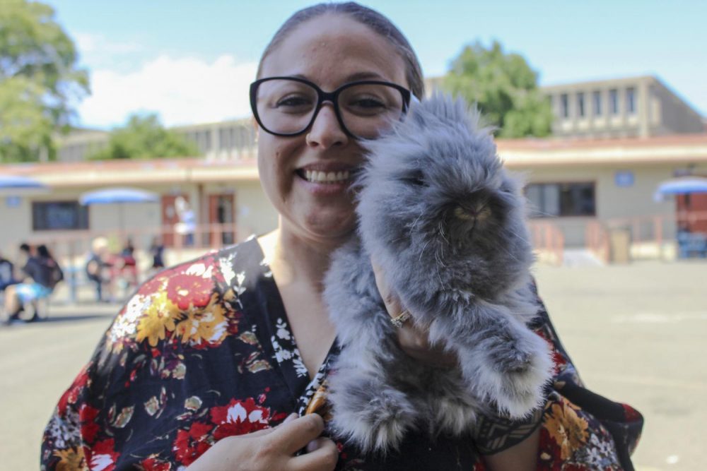 Funeral Service Education Major Jeni Haas holds her pet rabbit and emotional support animal Binky, at American River College on Aug. 28, 2019. (Photo by Emily Mello) 