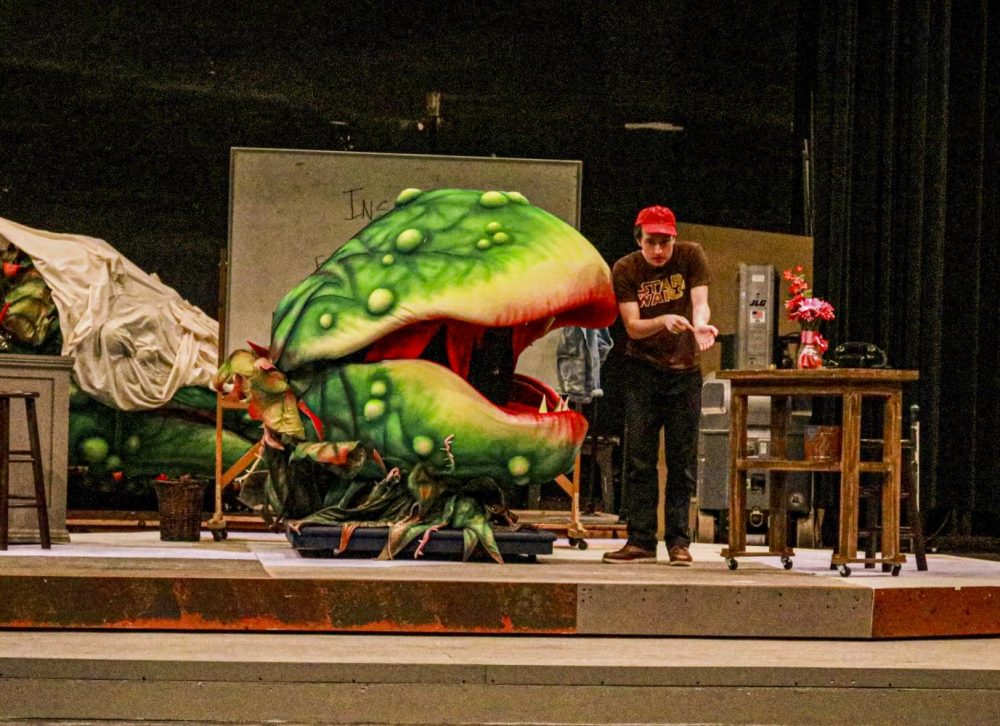 Ethan Mack, who plays Seymour Krelborn in the American River College production “Little Shop of Horrors,” rehearses a scene where he shows the place on his arm where her feeds his blood to the plant monster Audrey II, puppeteered by Fetalaiga Faga at the ARC theatre on Sept. 18, 2019. (Photo by Bram Martinez)
