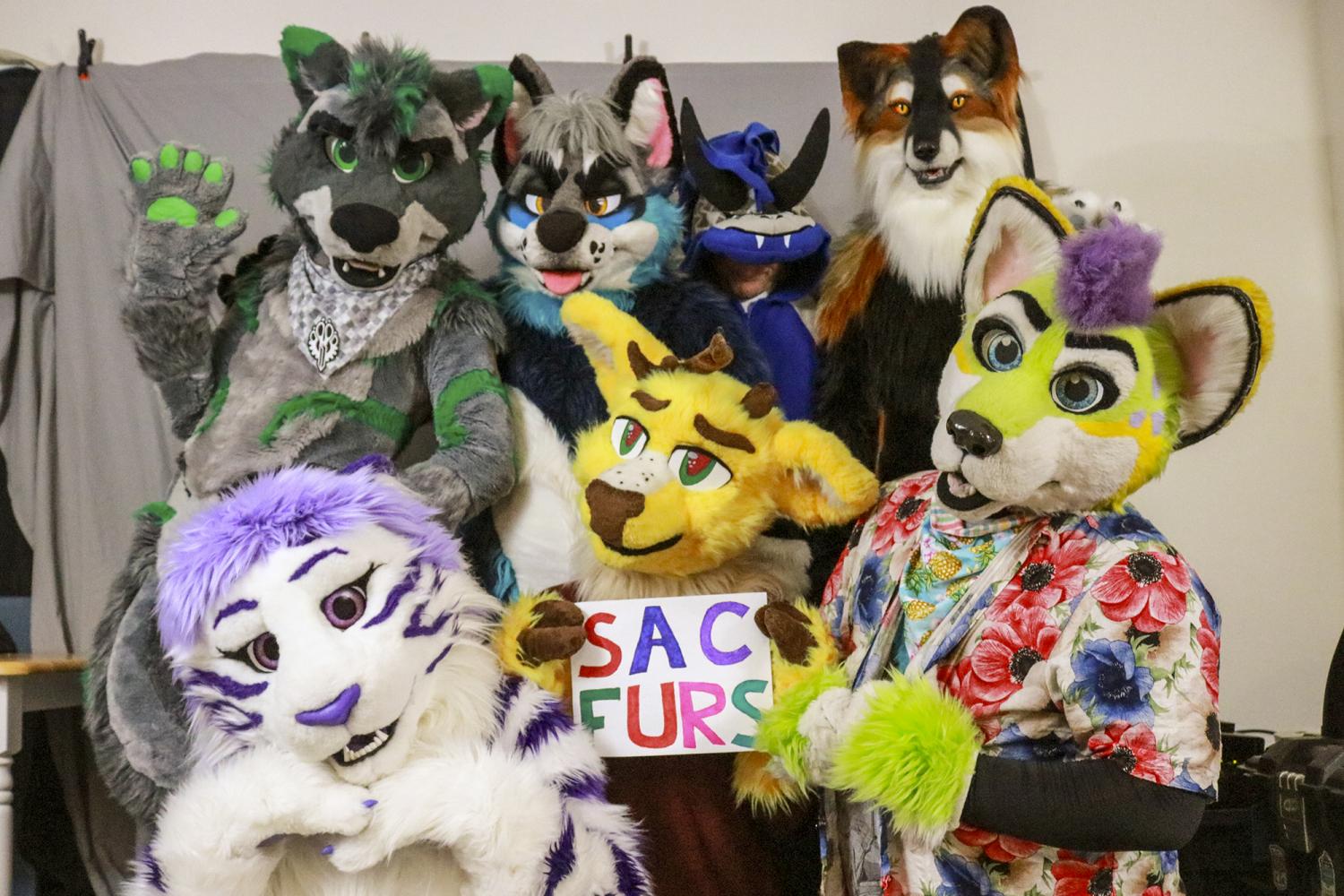 The furry fandom is a diverse group of people who enjoy expressing themselves by identifying with their fursona, or animal persona, by either dressing up in their fursuits or attending furry social events. SacFurs is a group within Sacramento that holds regular social gathers in the community. (Photo illustration by Brandon Zamora)