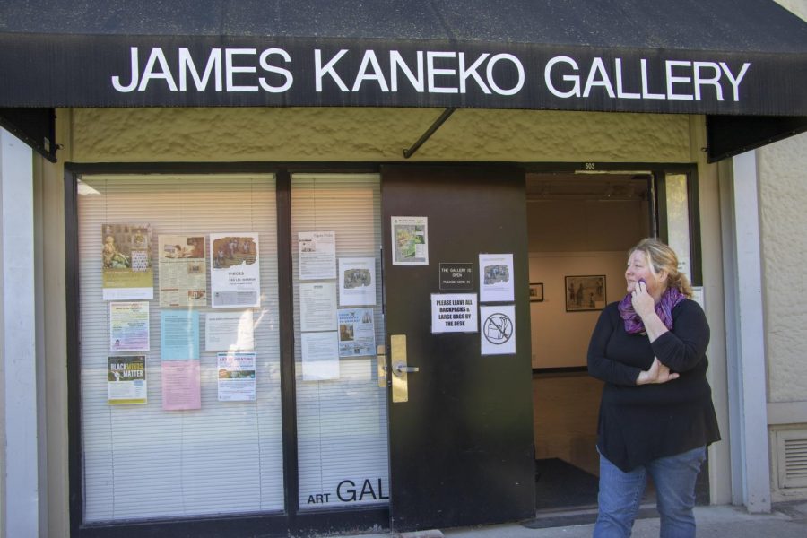 Despite the lockdown and subsequent school closure due to the COVID-19 pandemic, many American River College art classes have managed to adapt to the situation thanks to online conference calls in the fall semester 2020. Patricia Wood (pictured here) stands in front of the open Kaneko Art Gallery at ARC prior to the pandemic. (File photo by Ashley Hayes-Stone)