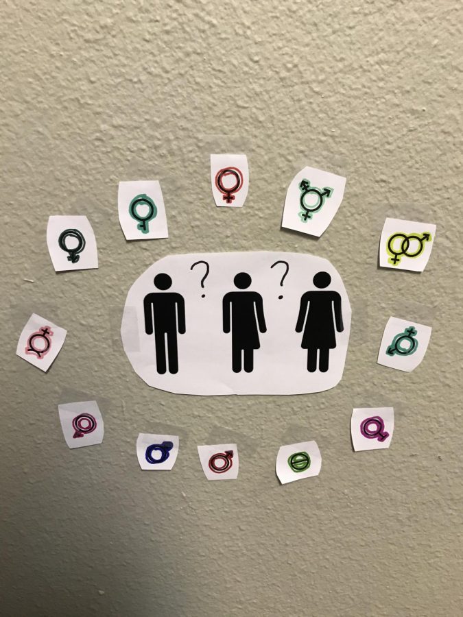As of October 2020, all students and employees can now indicate their gender pronouns in eServices. Any changes made reflect in Canvas and on official rosters. (Photo illustration by Ariel Caspar)