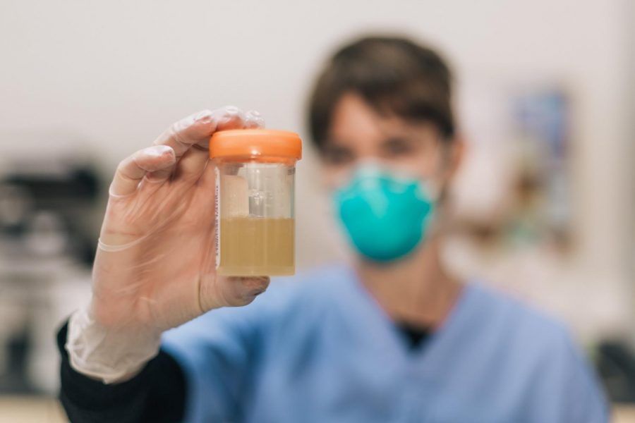 Pre-employment drug testing for marijuana via urinalysis punishes potential candidates for using cannabis on their off time. (Photo courtesy of Burst.Shopify.com)