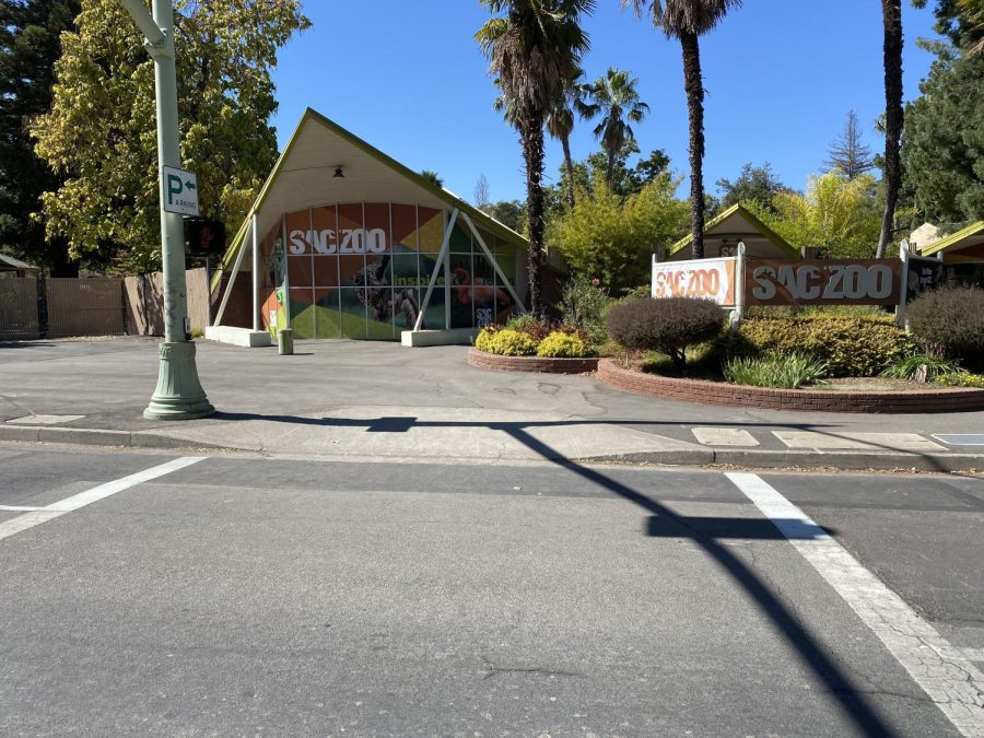 There is a chance that the Sacramento Zoo may relocate from Land Park to a new spot in Elk Grove, but that is not a wise decision. (Photo by Usamah Hammour)