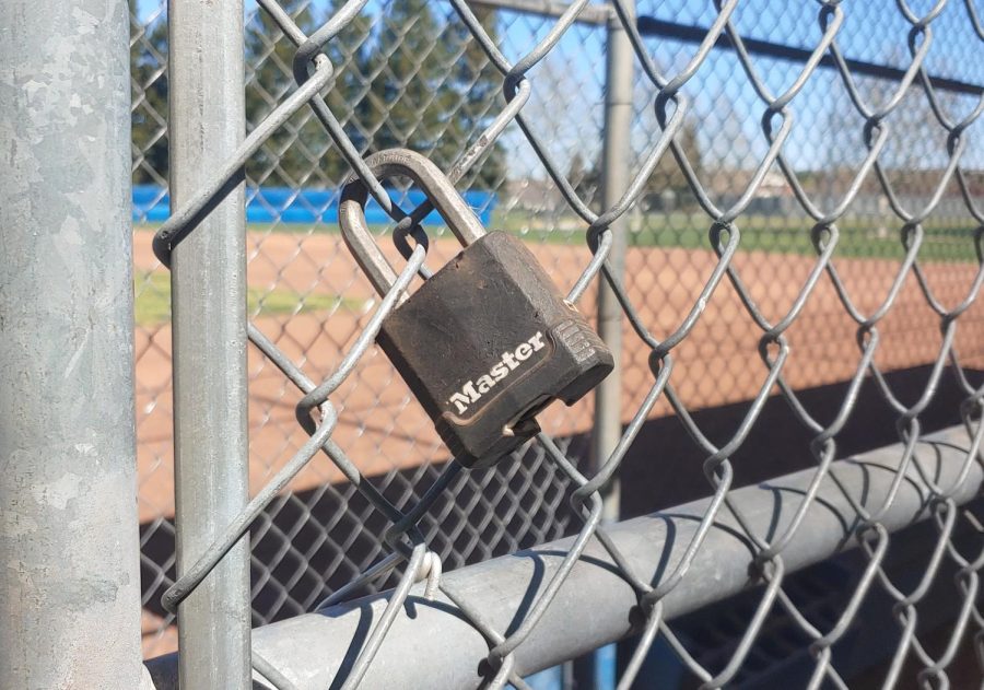 Major League Baseball imposed a lockout to get a new Collective Bargaining Agreement made. But the lockout ended up delaying the regular season, angering players, and turning fans away from the game in favor of other sports. (Photo Illustration by Sam Berg)