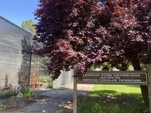 The horticulture department is looking for tree trimming and irrigation services as it develops as of April 18, 2022. (Photo by Alyssa Branum)