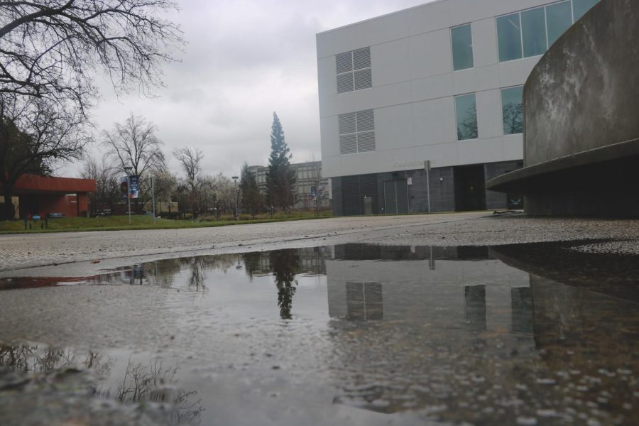 Puddles blanket the ground all over American River College as showers are expected to continue on a chilly Feb. 28th. (Photo by Matthew Soderlund)
