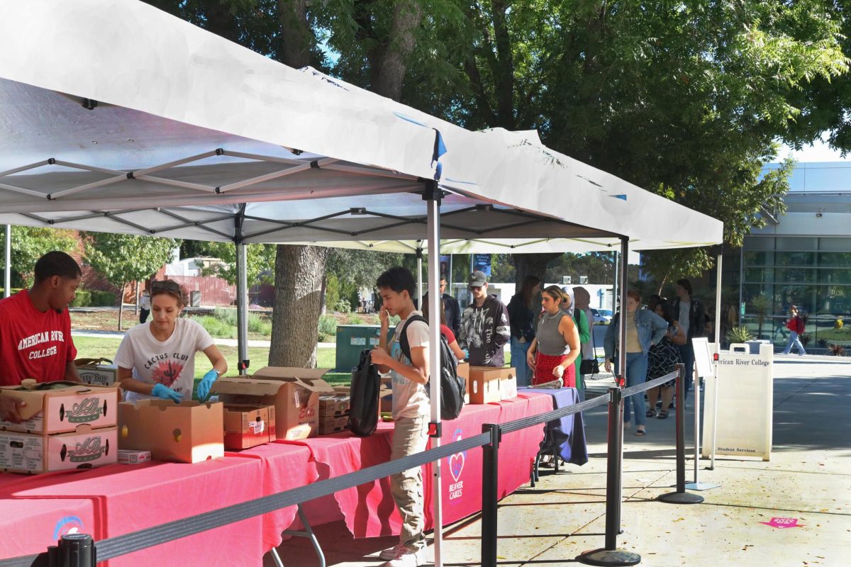 Every Thursday, Beaver Cares holds a food distribution event in front of the library open to all students. (Photo by Joseph Bianchini)