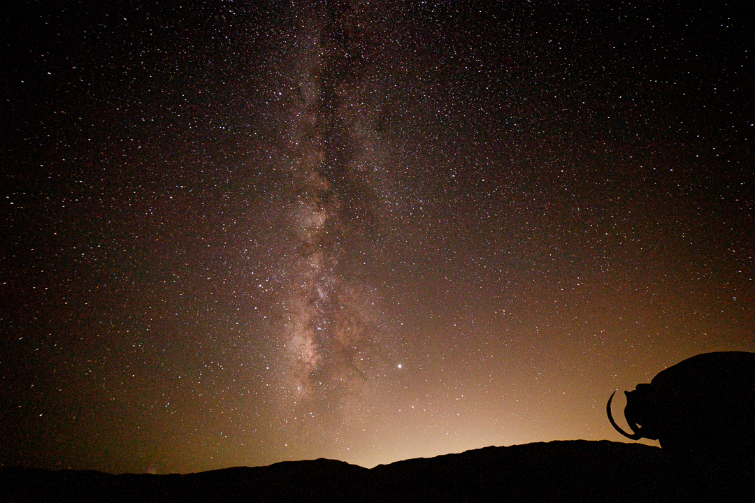 There are several places on Earth that have made great strides in eradicating light pollution. One of those places is Borrego Springs, California - a small desert  town backed up by the Anza-Borrego Desert State Park that is 2 hours south and inland of San Diego. Borrego Springs has a Bortle Score of 4 in comparison to Sacramento's rating of 8-8.1. (Photo by Dan Stiel, August 2019)