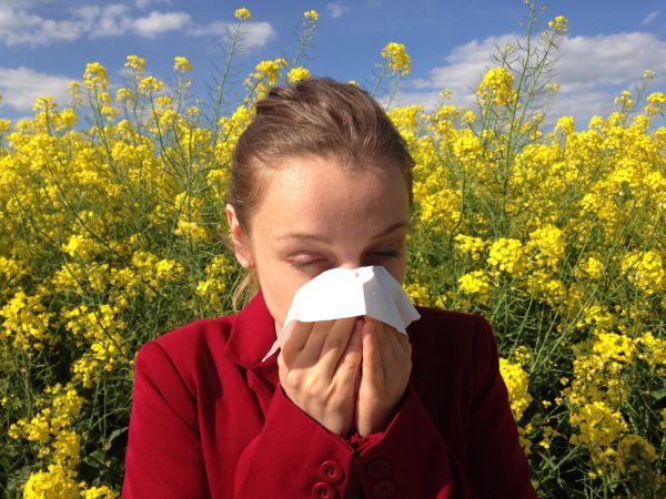 High pollen levels are leading to worsening allergies. (Photo by Corina via Pixabay)