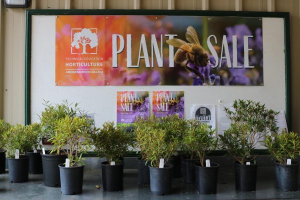 American River College's Plant Sale opened to the public on April 11, 2026. (Photo by Sofiia Kovalko)
